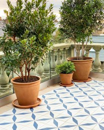 Harriet_Worsley_Gardens_2-lo_res