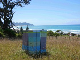NZ_Hives