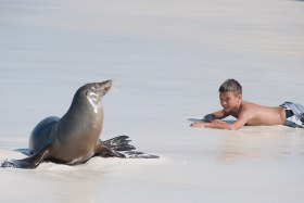Galapagos_Family_LOW