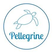 Pellegrine_logo_final_180x