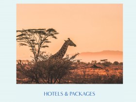 1_Hotels_and_Packages-Globe_Coll