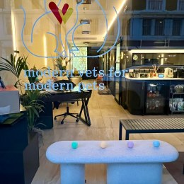 5._Virtue_Vets-The_Directory