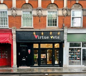6._Virtue_Vets-The_Directory