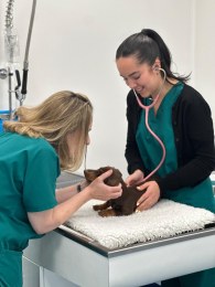 5133a803-fc9a-47d4-b2a8-a7d58b6c