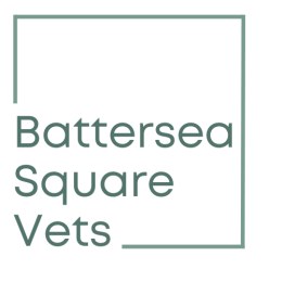 Battersea_Square_Vets_Logo-1