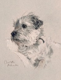 Charlotte_Ashenden_Popcorn-Cont_